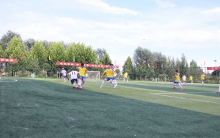 通许县去哪学足球鞋，通许县足球场