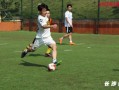 龙妈喜欢足球吗为什么，龙妈喜欢足球吗为什么呢
